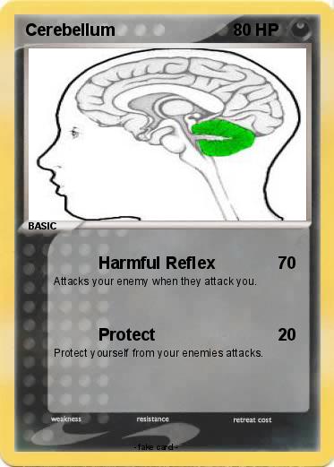 Pokemon Cerebellum