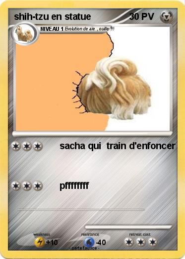 Pokemon shih-tzu en statue