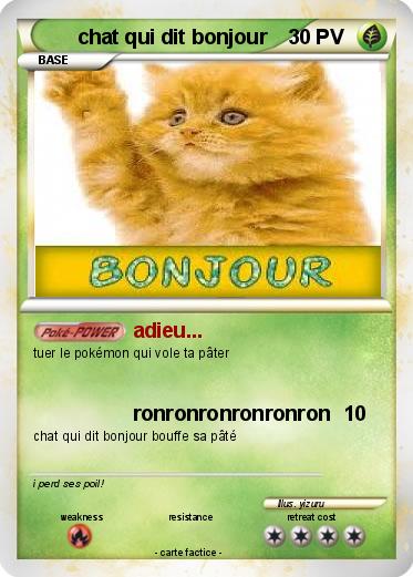 Pokemon chat qui dit bonjour