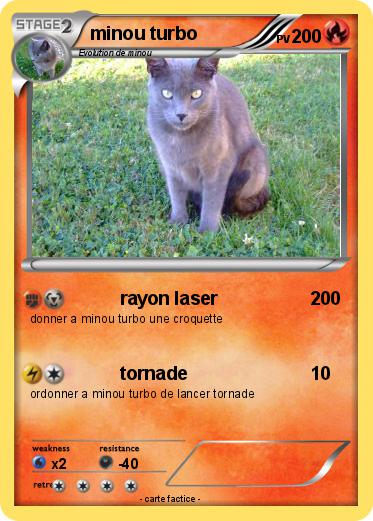 Pokemon minou turbo