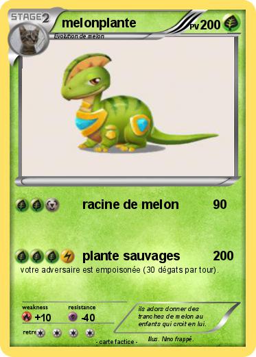 Pokemon melonplante