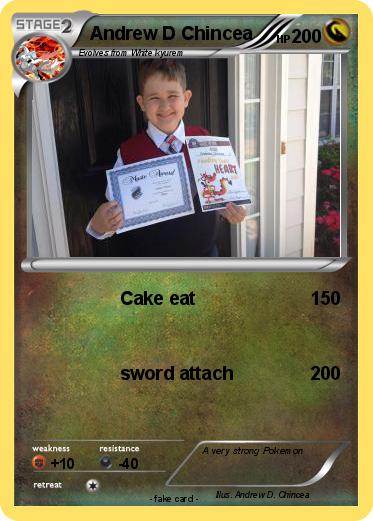 Pokemon Andrew D Chincea