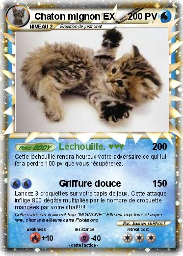 Pokemon Chaton mignon EX