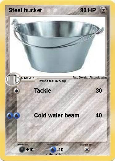Pokemon Steel bucket