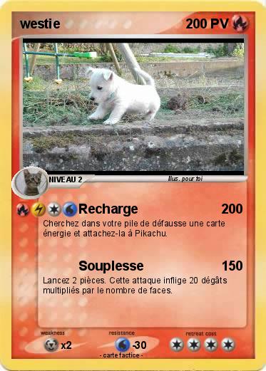 Pokemon westie