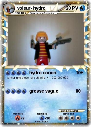 Pokemon voleur- hydro