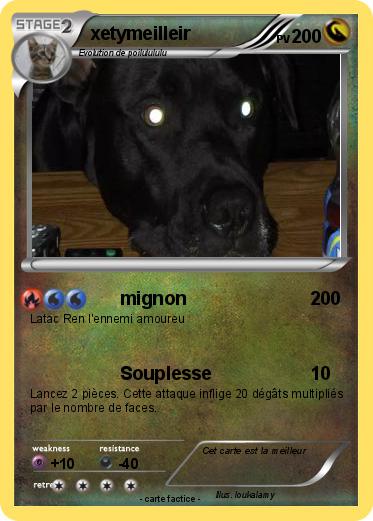 Pokemon xetymeilleir