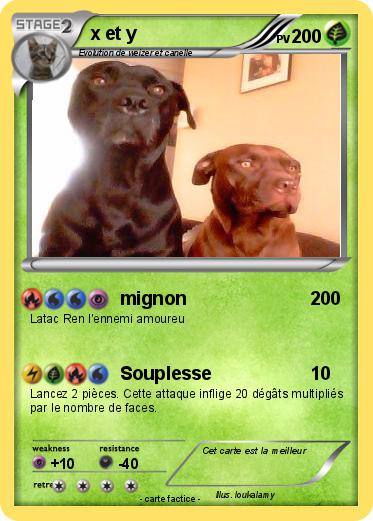 Pokemon x et y