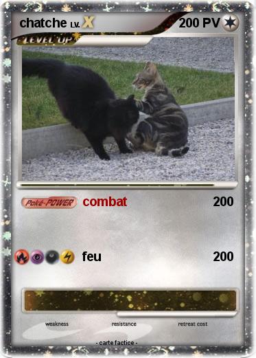 Pokemon chatche