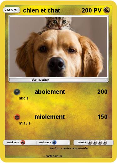 Pokemon chien et chat