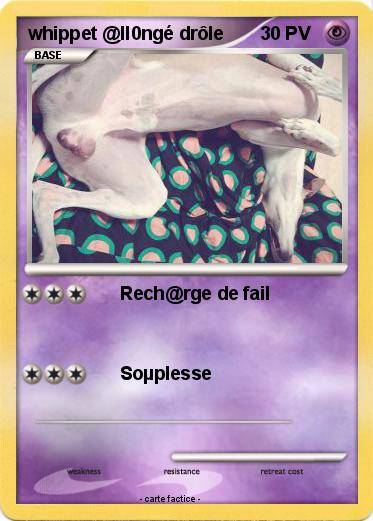Pokemon whippet @ll0ngé drôle