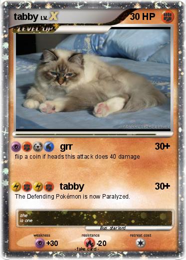 Pokemon tabby