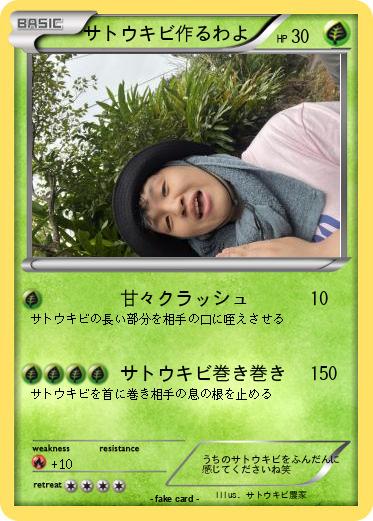Pokemon サトウキビ作るわよ