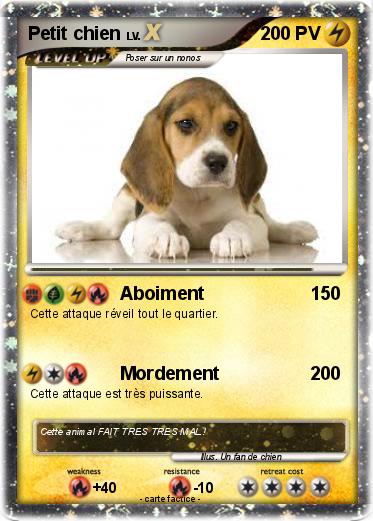 Pokemon Petit chien