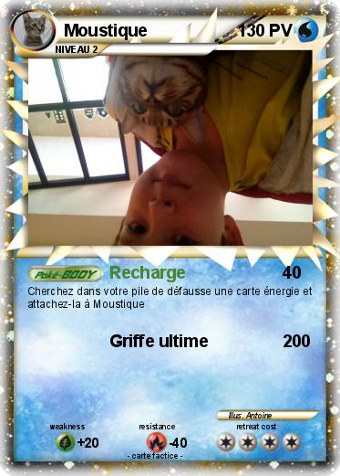 Pokemon Moustique