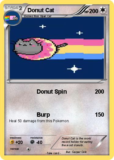 Pokemon Donut Cat