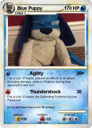 Pokemon Blue Puppy
