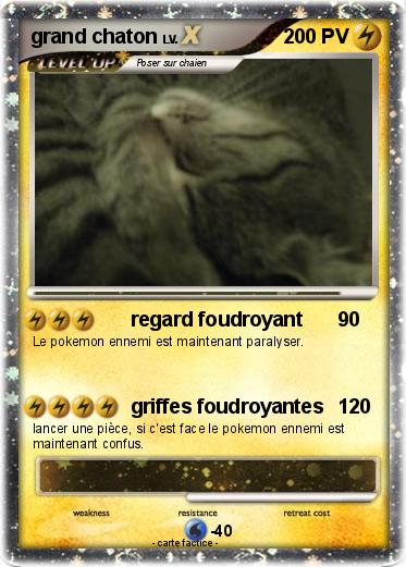 Pokemon grand chaton