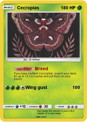 Pokemon Cecropias