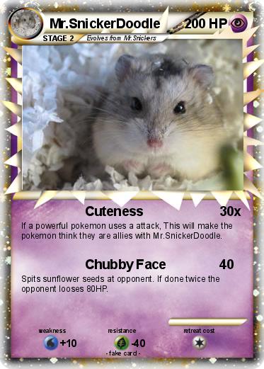 Pokemon Mr.SnickerDoodle