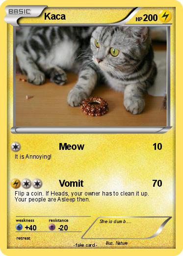 Pokemon Kaca