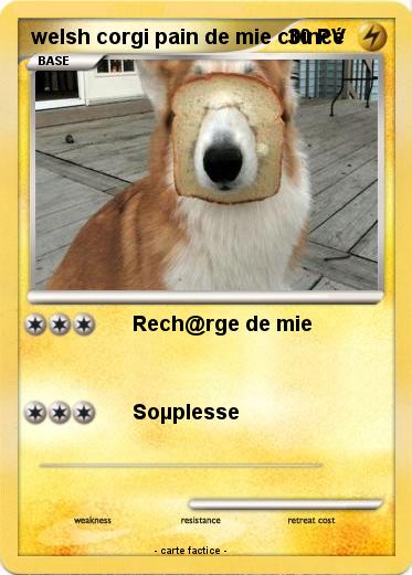 Pokemon welsh corgi pain de mie c0incé