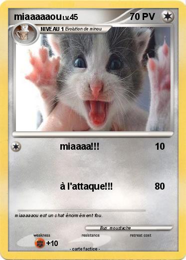 Pokemon miaaaaaou