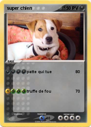 Pokemon super chien