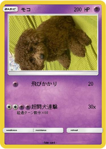 Pokemon モコ