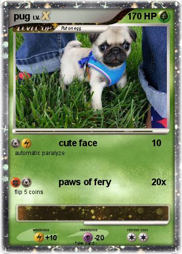 Pokemon pug