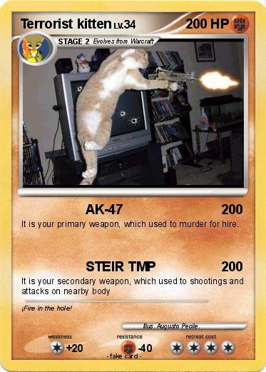 Pokemon Terrorist kitten