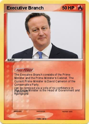 Pokemon Executive Branch