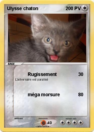 Pokemon Ulysse chaton