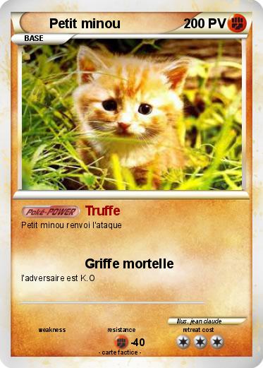 Pokemon Petit minou