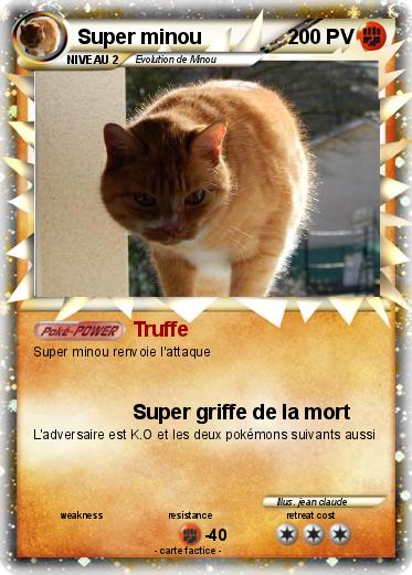 Pokemon Super minou