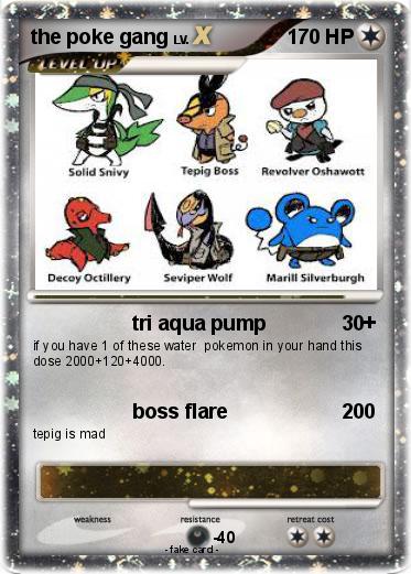 Pokemon the poke gang