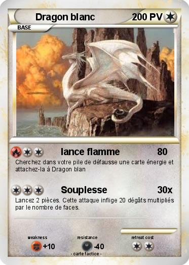 Pokemon Dragon blanc