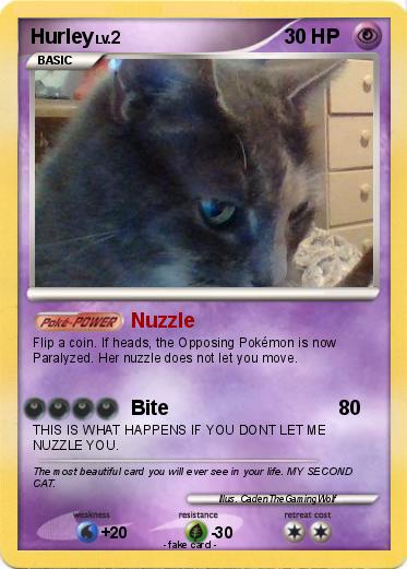 Pokemon Hurley