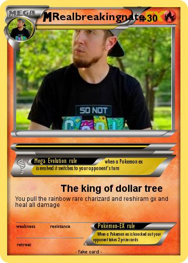 Pokemon Realbreakingnate