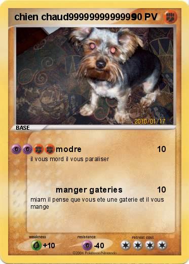 Pokemon chien chaud9999999999999