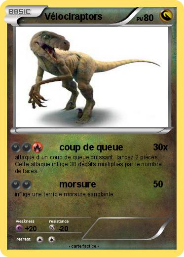 Pokemon Vélociraptors