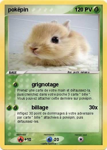 Pokemon poképin