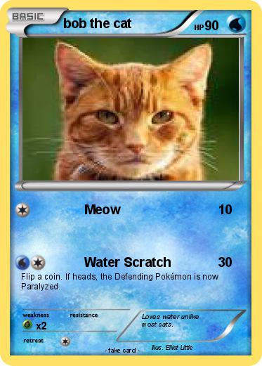 Pokemon bob the cat