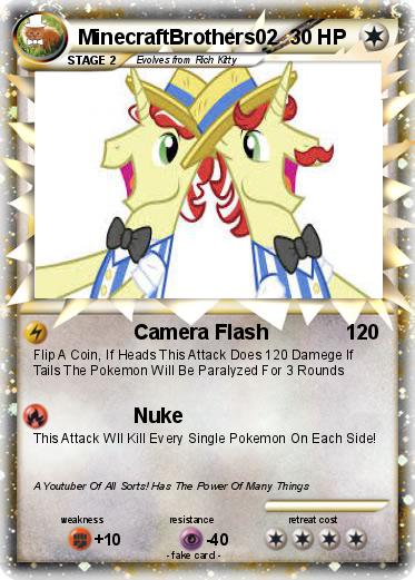 Pokemon MinecraftBrothers02