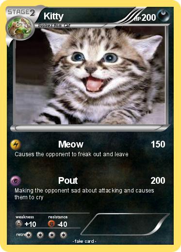 Pokemon Kitty