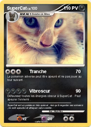 Pokemon SuperCat