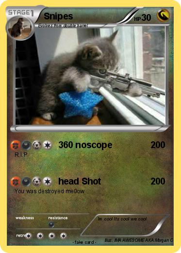 Pokemon Snipes