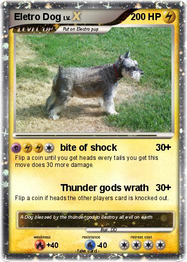 Pokemon Eletro Dog
