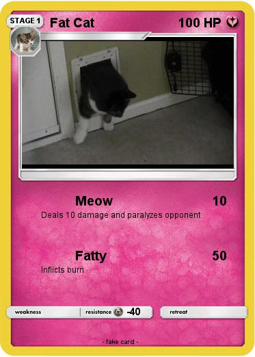 Pokemon Fat Cat
