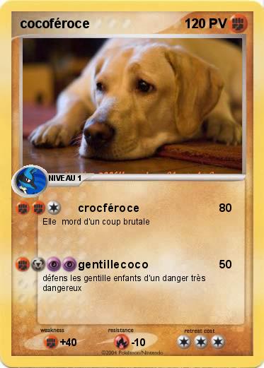 Pokemon cocoféroce